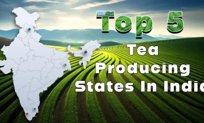 highest tea producing state in India