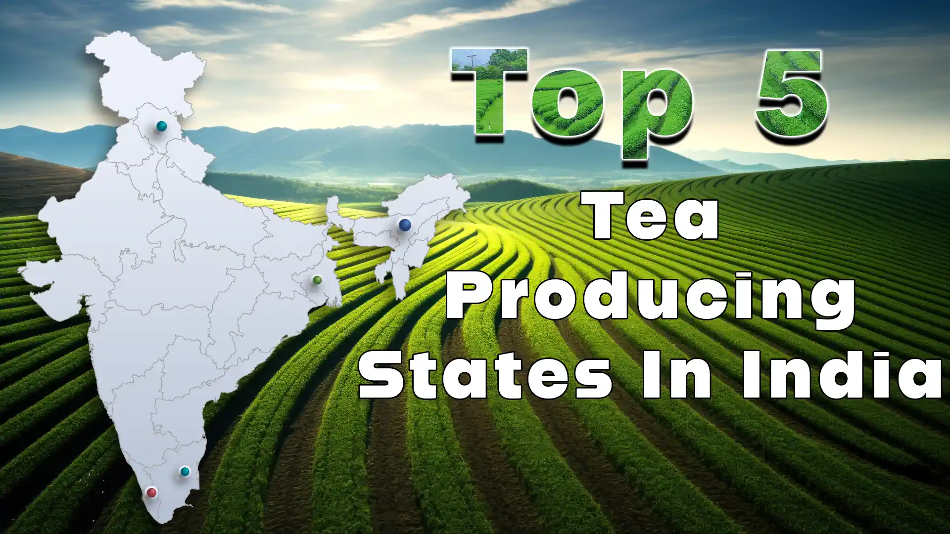 highest tea producing state in India
