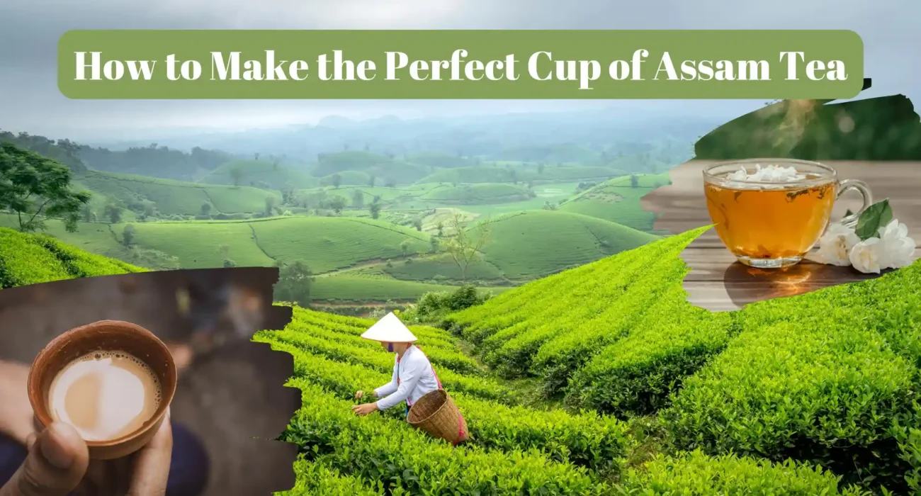 how to make perfect cup of assam tea