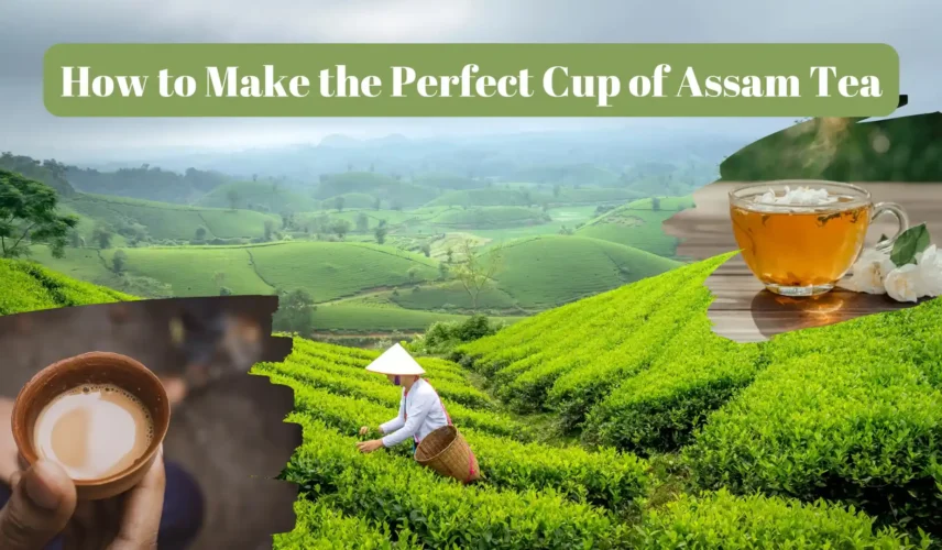 how to make perfect cup of assam tea