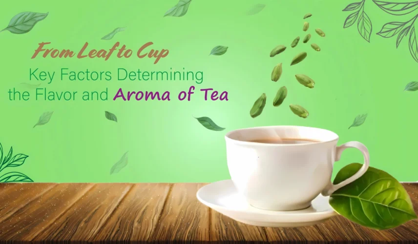 From Leaf to Cup- Key Factors Determining the Flavor and Aroma of Tea