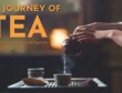 The Journey of Tea